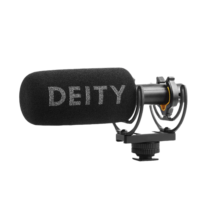Deity V-Mic D3 (Used)