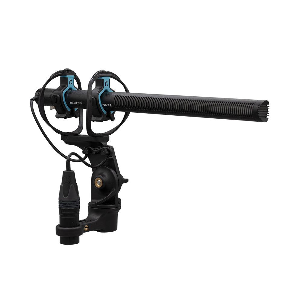 Radius RAD-2 Shock Mount
