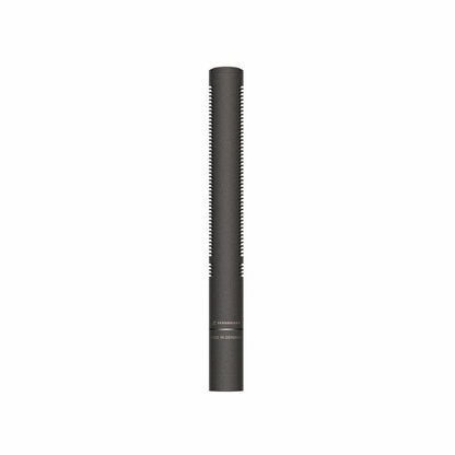 Sennheiser MKH 8060